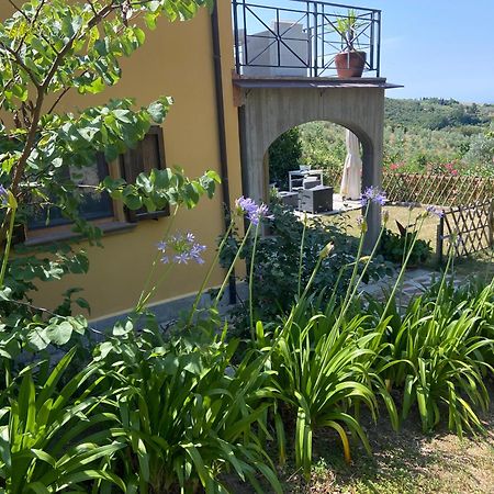 Villa Antonella Castellina Marittima Kültér fotó