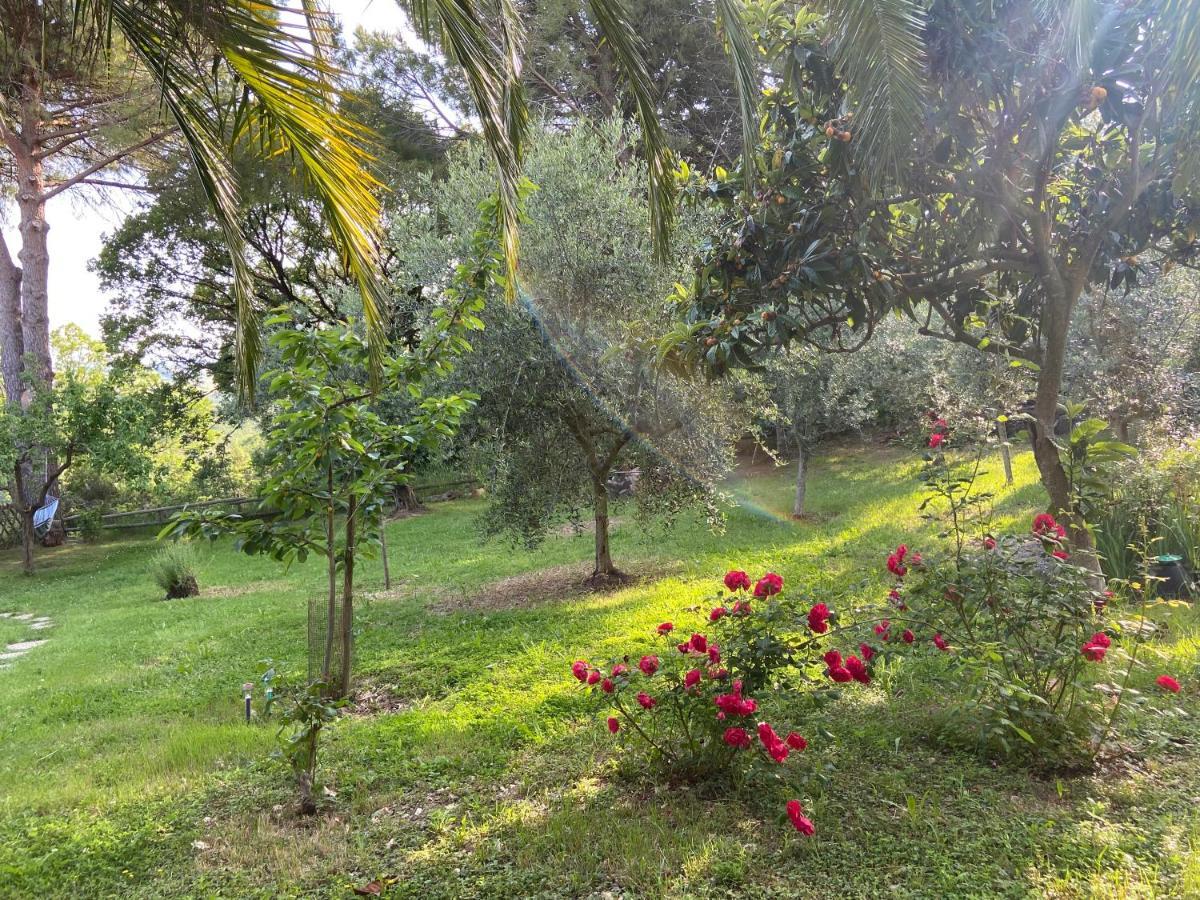 Villa Antonella Castellina Marittima Kültér fotó