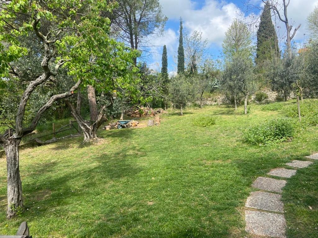 Villa Antonella Castellina Marittima Kültér fotó