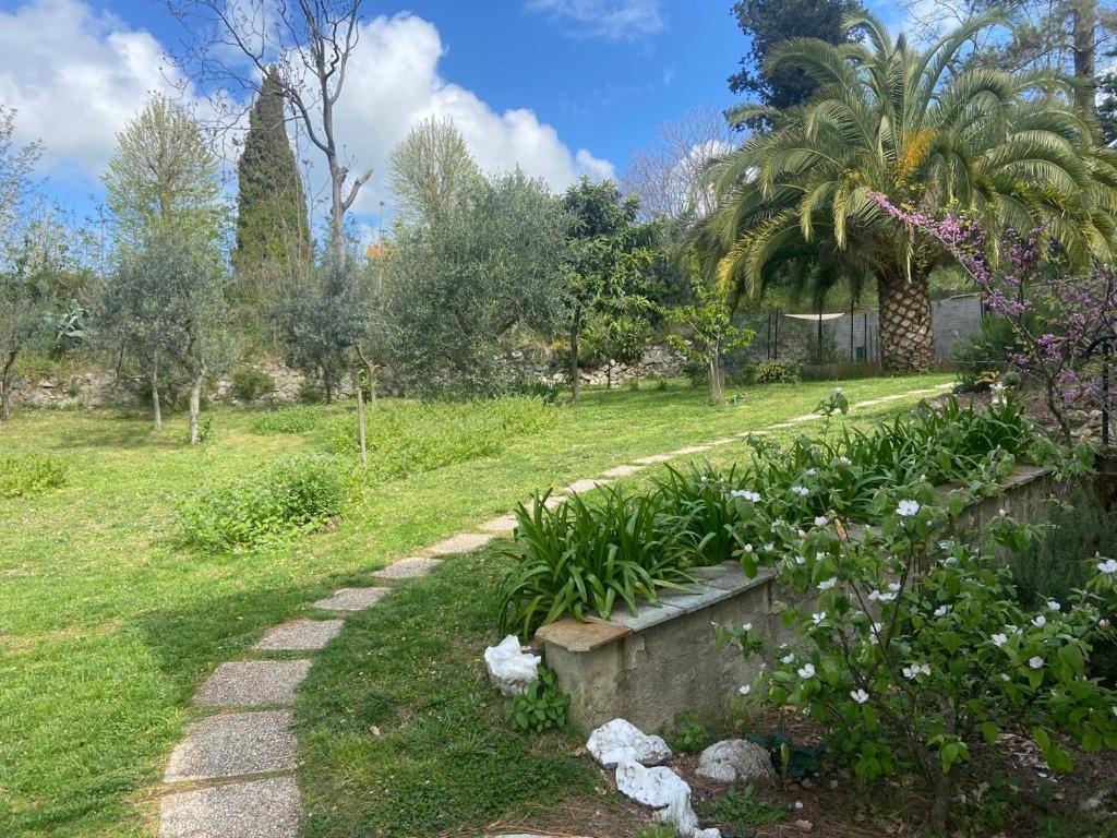 Villa Antonella Castellina Marittima Kültér fotó